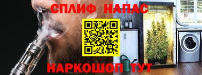 дмт Будённовск